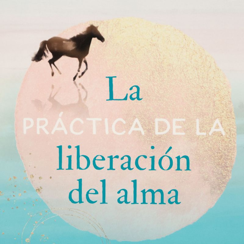 la-practica-de-la-liberacion-del-alma-4-9788484459965