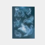harry-potter-patronus-guided-journal-and-3-9780762479252