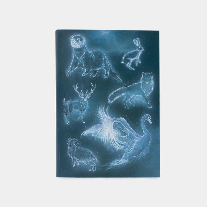 harry-potter-patronus-guided-journal-and-3-9780762479252