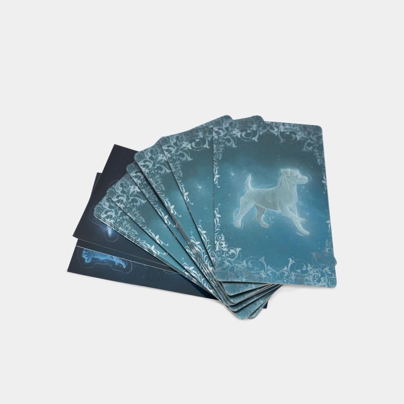 harry-potter-patronus-guided-journal-and-5-9780762479252
