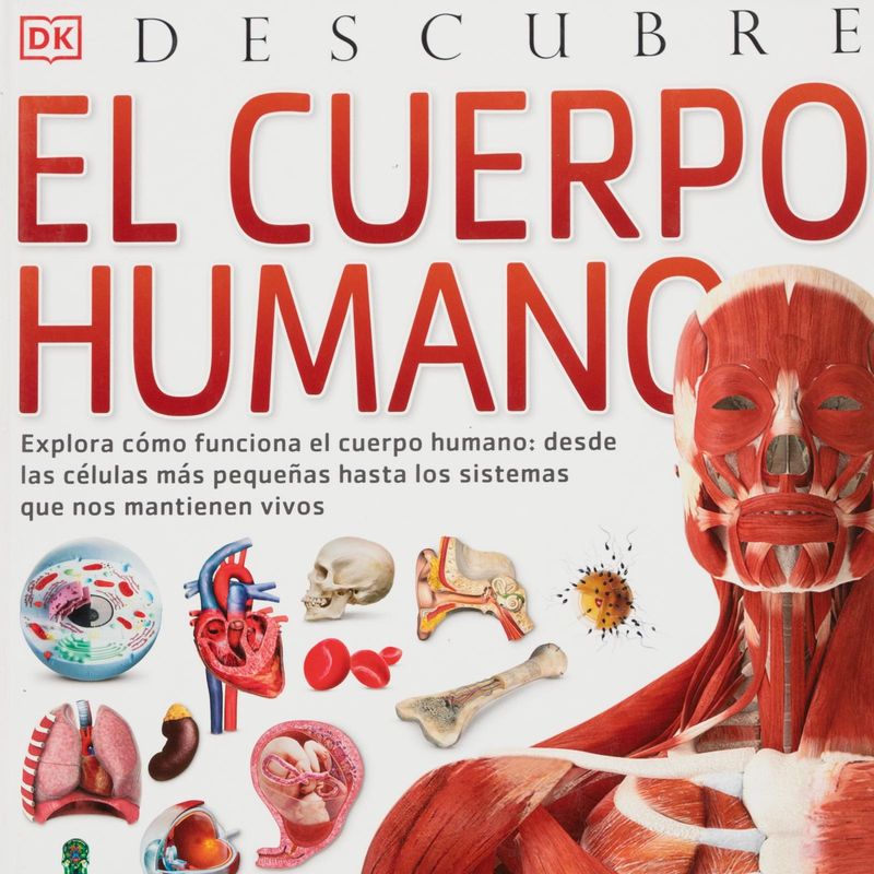 descubre-el-cuerpo-humano-4-9788418350634