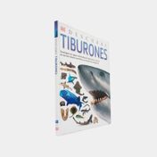 Descubre tiburones