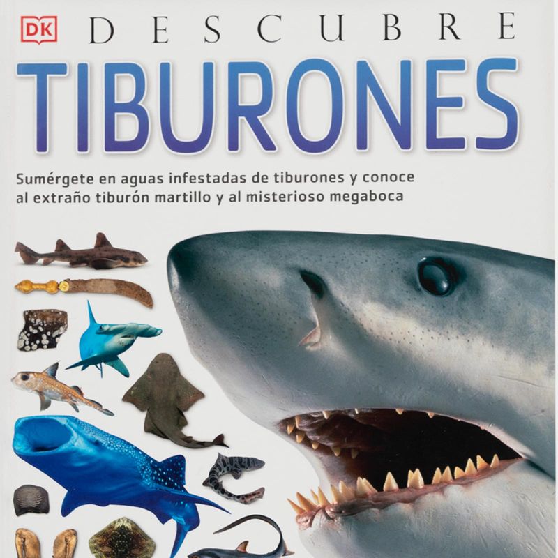 descubre-tiburones-4-9788418350672