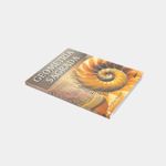 geometria-sagrada-descifrando-el-codigo-3-9788484452010