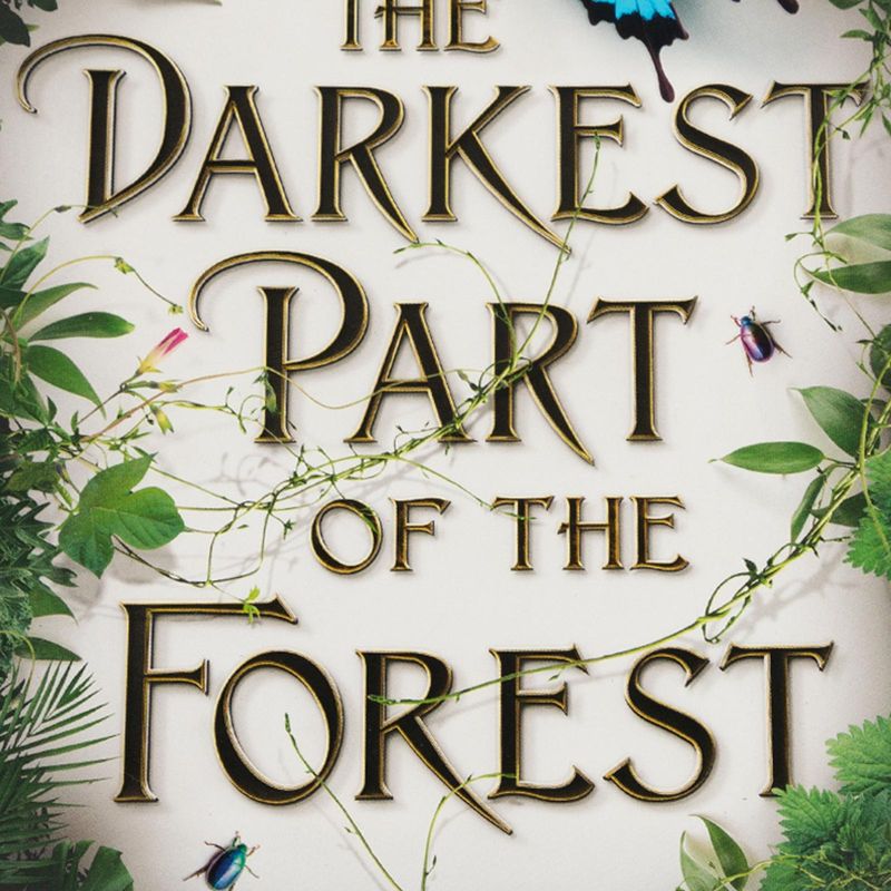 the-darkest-part-of-the-forest-4-9780316536219