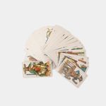ancient-italian-tarot-3-9780738700267
