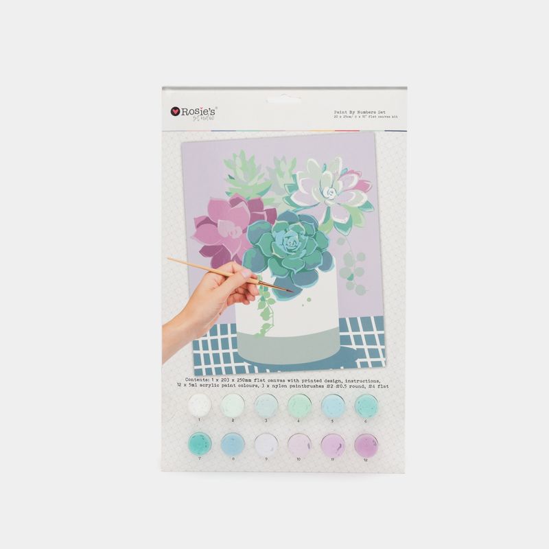 kit-para-pintar-por-numeros-suculentas-rosie-s-9420041675325