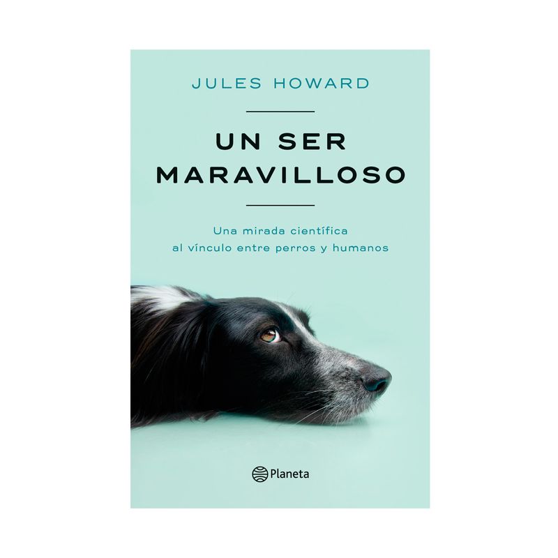 un-ser-maravilloso-9786287650305