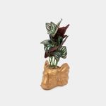 planta-artificial-con-maceta-de-elefante-31-x-13-cm-7701016430944