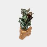 planta-artificial-con-maceta-de-elefante-31-x-13-cm-2-7701016430944