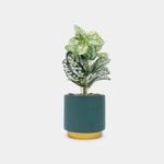 planta-artificial-con-maceta-28-x-10-cm-7701016430968