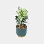 planta-artificial-con-maceta-28-x-10-cm-2-7701016430968