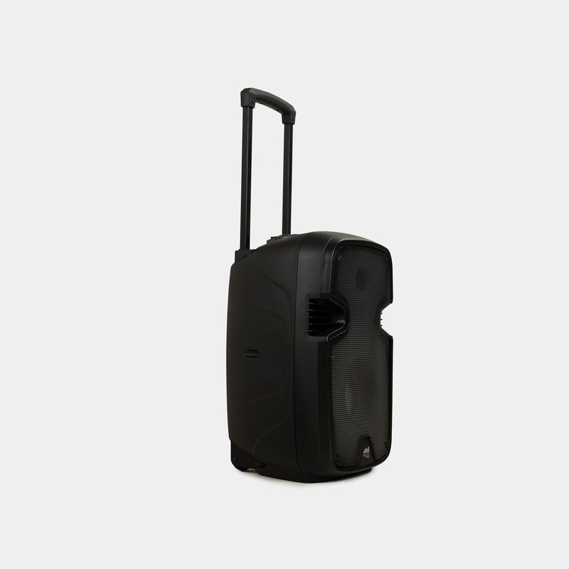 parlante-sound-pro-de-20-w-rms-con-bluetooth-2-840005016572