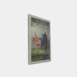 fantasy-cats-1-9780738758831