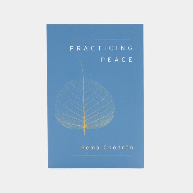 practicing-peace-9781611801897