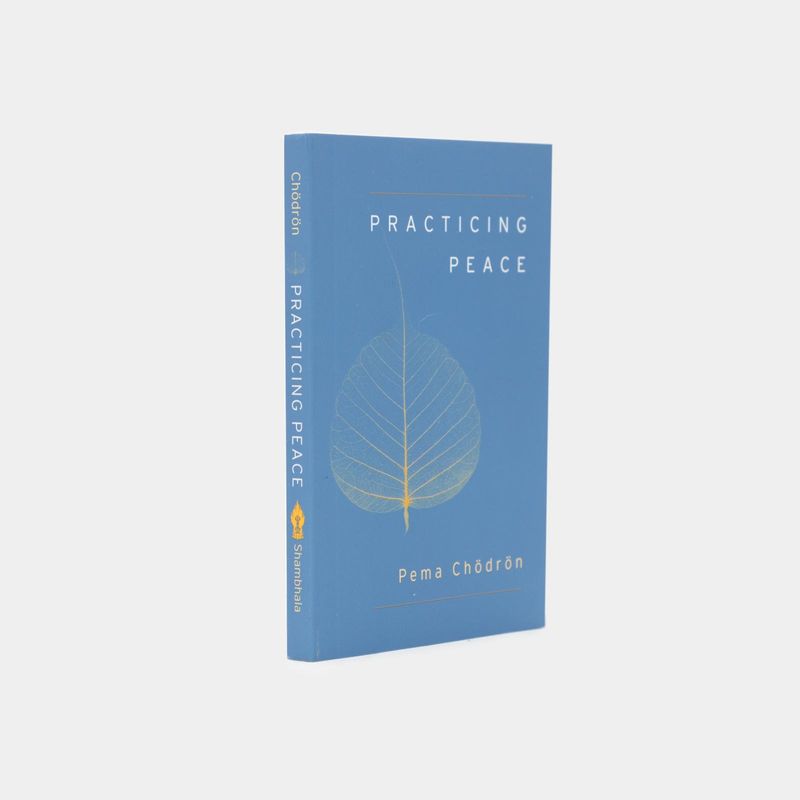 practicing-peace-2-9781611801897