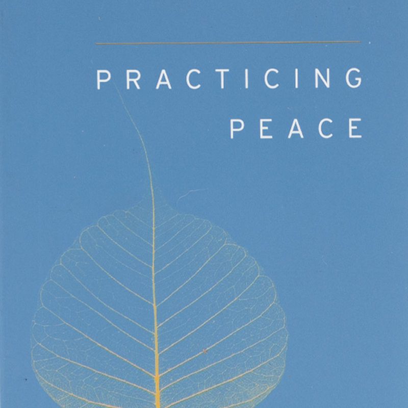 practicing-peace-4-9781611801897