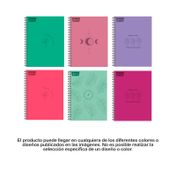 Cuaderno cuadriculado argollado 7 materias de 175 hojas surtido