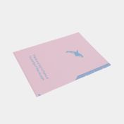 Carpeta de presentación A4 con 4 separadores surtida