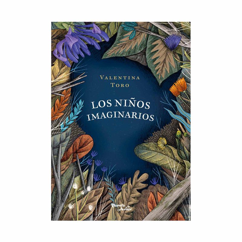 los-ninos-imaginarios-9786287572607