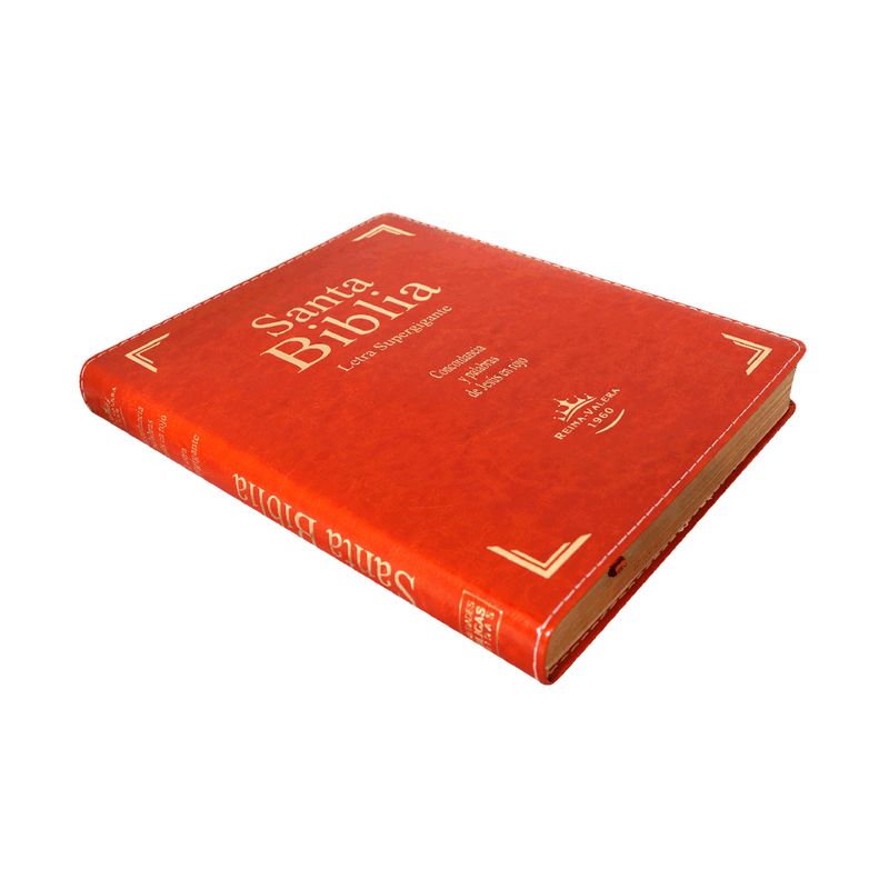 biblia-reina-valera-1960-letra-gigante-marron-2-7899938407882