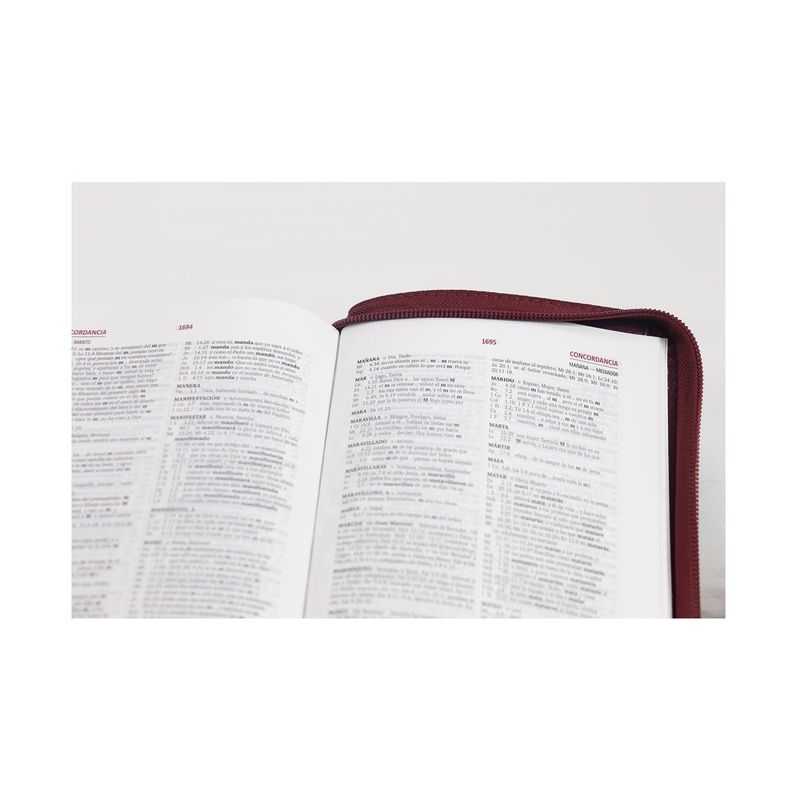 biblia-reina-valera-1960-letra-grande-vino-tinto-2-9789587454543