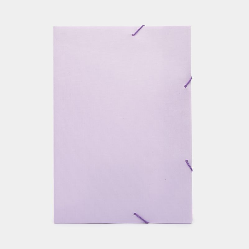 carpeta-de-seguridad-carta-lila-7897832862387