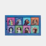 disney-forzen-ii-mis-cuentos-favoritos-8-mini-libros-2-9789587960518