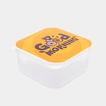 set-de-4-cajas-organizadoras-con-tapa-5-7701016968423
