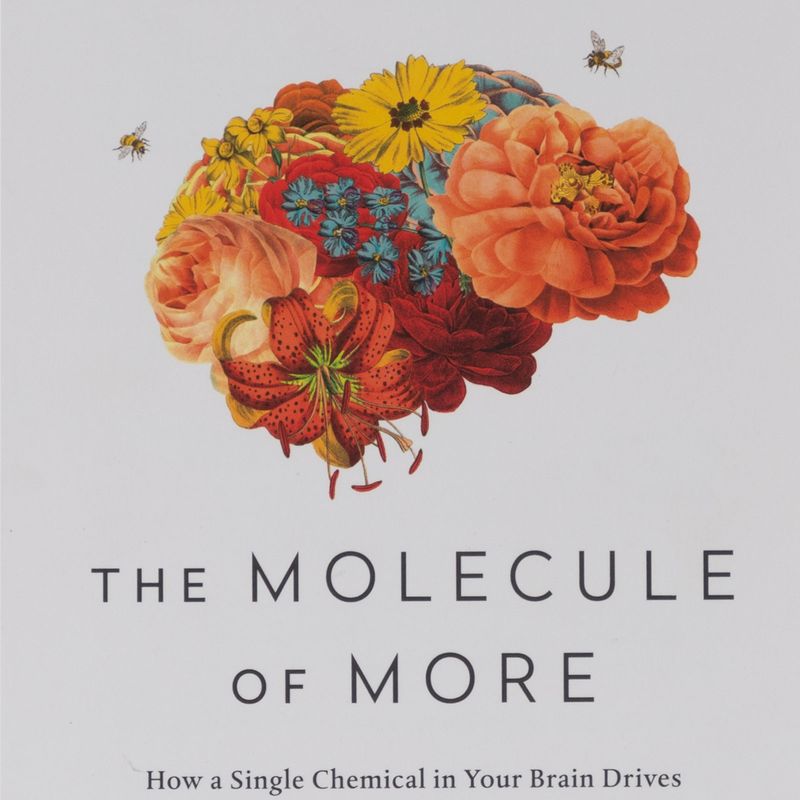 the-molecule-of-more-4-9781948836586