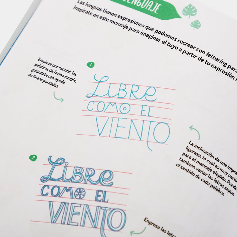 LIBRO DE LETTERING