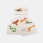 flash-cards-animales-salvajes-2-9789585568358