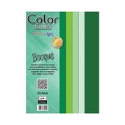 Cartulina pack 160 gr, tamaño 1/8 , 16 tonos bosque