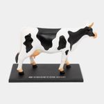 modelo-anatomico-4d-de-vaca-x-29-piezas-2-4894793220211