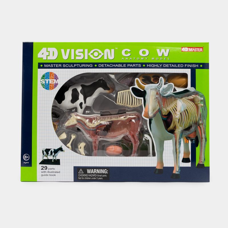 modelo-anatomico-4d-de-vaca-x-29-piezas-3-4894793220211