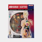 modelo-anatomico-4d-mujer-en-gestacion-41-piezas-3-4894793261078