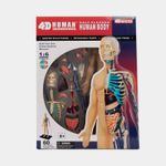 modelo-anatomico-4d-del-cuerpo-humano-60-piezas-4-4894793262037