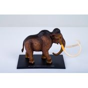 Modelo anatómico 4D del mamut, 30 piezas