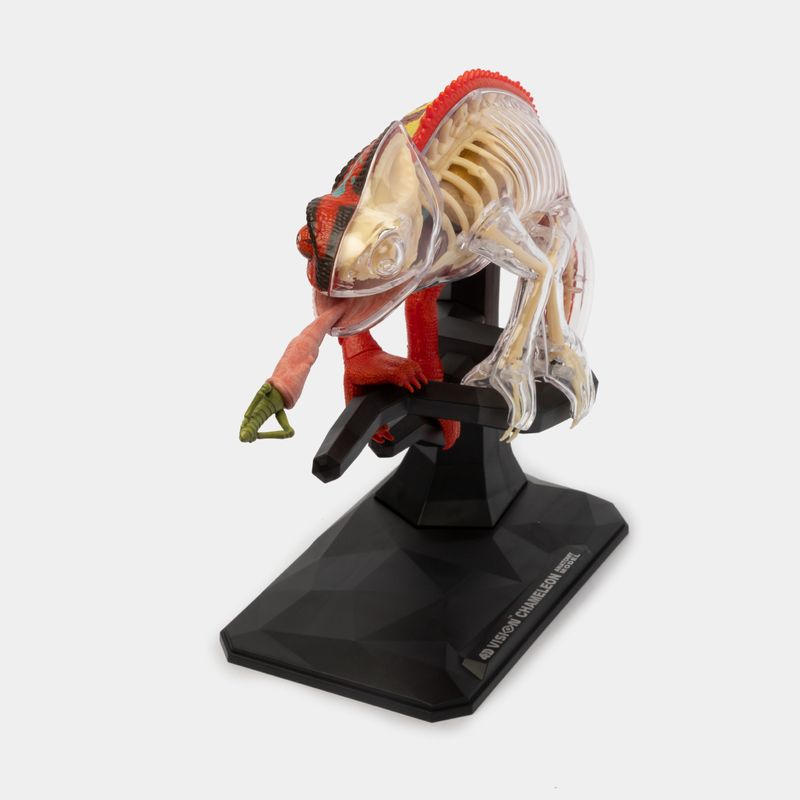 modelo-anatomico-4d-camaleon-43-piezas-4-4894793220457