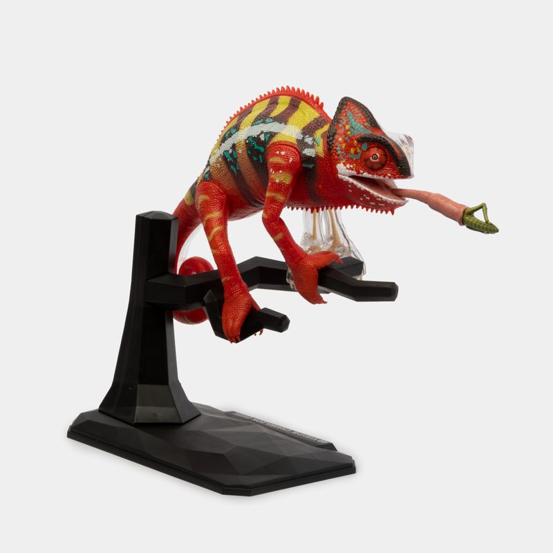 modelo-anatomico-4d-camaleon-43-piezas-5-4894793220457