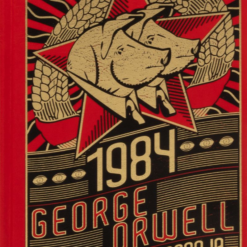 1984-rebelion-en-la-granja-4-9788497945592
