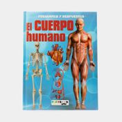 Preguntas y respuestas: el cuerpo humano