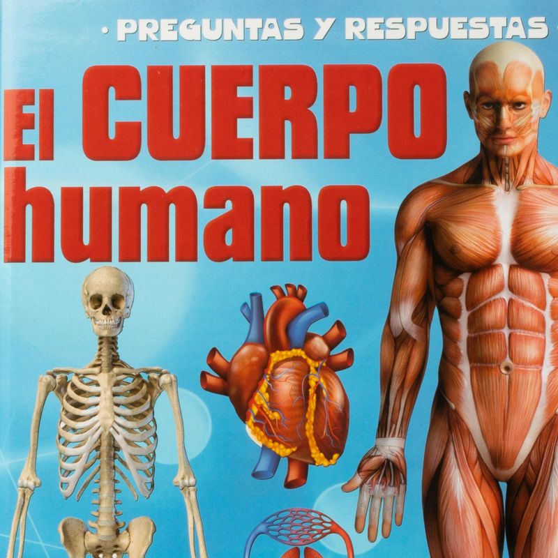 preguntas-y-respuestas-el-cuerpo-humano-4-9788419616098