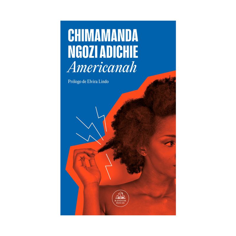 americanah-9786287638235
