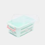 caja-organizadora-con-tapa-de-11-3-x-25-7-x-16-3-cm-surtida--2-7701016968393