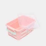caja-organizadora-con-tapa-de-11-3-x-25-7-x-16-3-cm-surtida--3-7701016968393