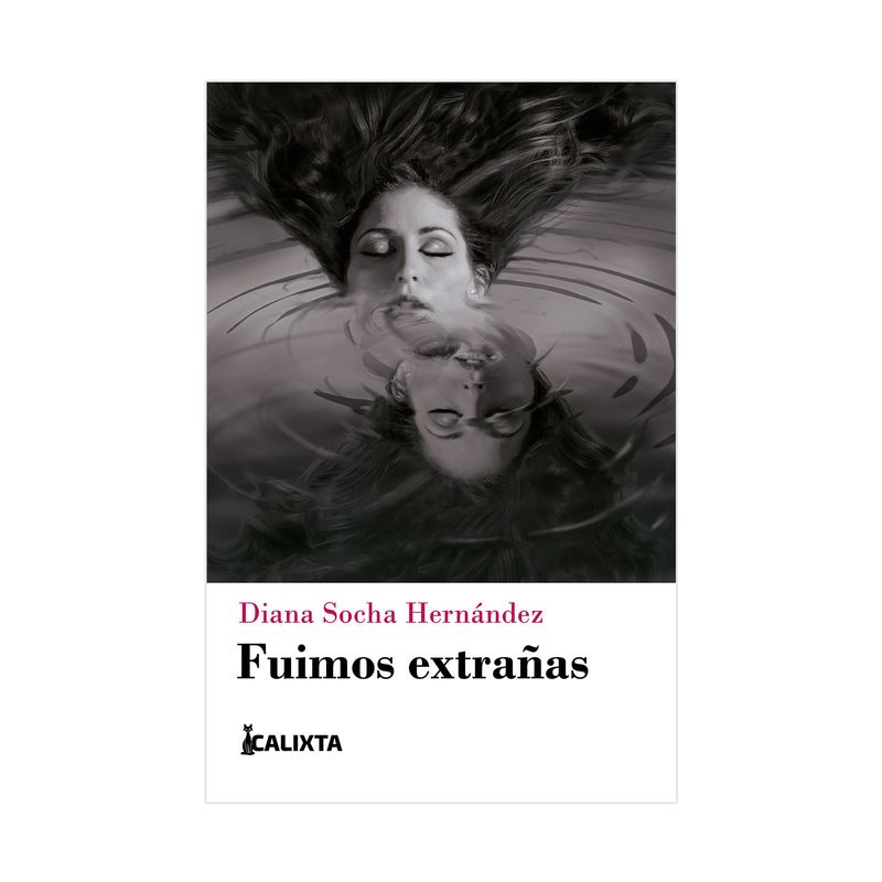 fuimos-extranas-9786287631687