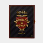 Harry Potter Quidditch at Hogwarts