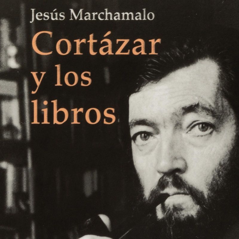 cortazar-y-los-libros-4-9788437644783