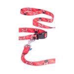 correa-para-mascotas-diseno-minnie-primavera-talla-m-3-7707849573278